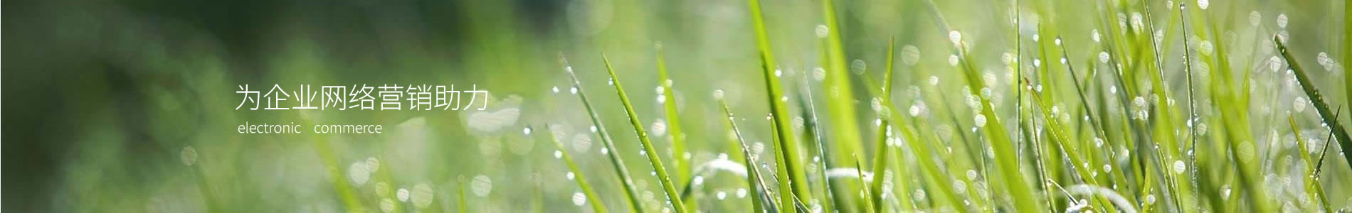 ֿƼ޹˾